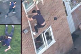 Dramatic footage shows a fugitive driver jumping out a window to evade cops before being wrestled to the ground by a hero police dog.