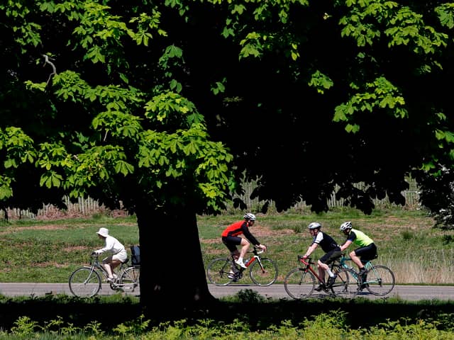 Cyclists ride their bicycles in the sunshine in Richmond Park.
