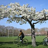 Cyclists in the park,