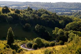 The beautiful views from Box Hill in Surrey | Picture: Harry Engels/Getty Images