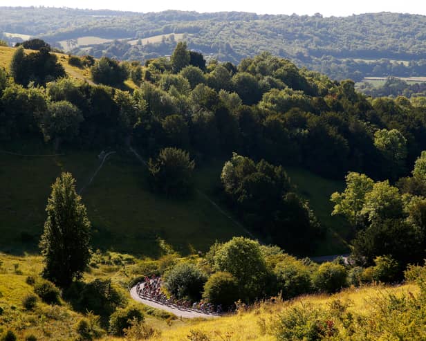 The beautiful views from Box Hill in Surrey | Picture: Harry Engels/Getty Images