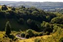 The beautiful views from Box Hill in Surrey | Picture: Harry Engels/Getty Images