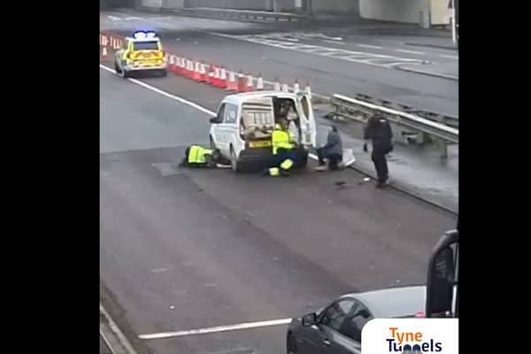 Ducklings cause chaos near the Tyne Tunnel during rush hour