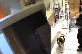 Police sniffer dog finds secret hidden room packed with illicit tobacco belonging to criminal gang
