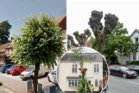 Lime trees growing either side of High Street in Henley-in-Arden, Warks., had their tops hacked off without notice leaving locals “devastated”.