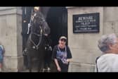 A shocked tourist is bitten on the arm by a King's Guard horse