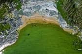 Toxic blue-green algae poses a life-threatening risk to dogs. (Photo: PONTUS LUNDAHL/TT News Agency/AFP via Getty Images)