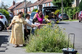 Grace Hills, 36, transformed her street from a 'neglected patch of urban land' into a colourful wildflowers. 