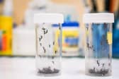 A warning has been issued to holidaymakers heading to Spain as a deadly virus is surging. (Photo: Getty Images)