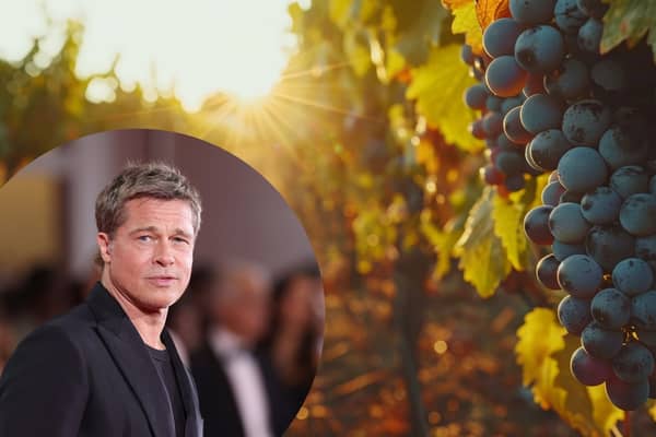 Celebrity vineyards that you can visit around the world - from Brad Pitt to Sting (Photo: Adobe Stock / Getty Images)