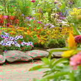 A poll of 2,000 adults revealed the quirkier strategies those who garden adopt to help their plants grow - including throwing teabags onto the soil