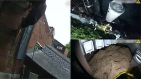 Police discover cannabis farm worth over £350k in former buffet.