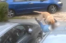 A video captured an attack by dog in Dagnam Crescent, Arbourthorne. Picture: South Yorkshire Police
