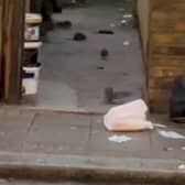 Video grab of a rat infested alleyway off Franciscan Road in Tooting, south London. October 2 2024. 