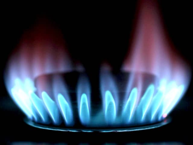 A poll of 2,000 adults found that 45 per cent have never sought assistance regarding their energy bills - whether that be turning to loved ones or seeking professional advice