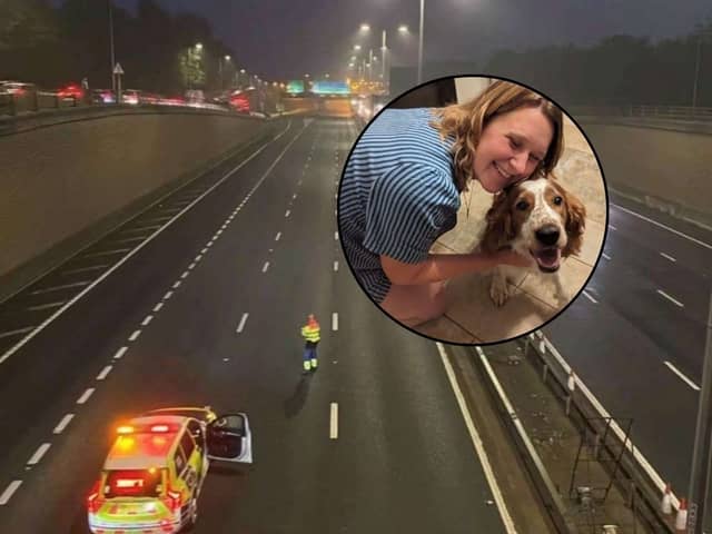A lost dog has been reunited with his owner - after she caused the motorway to temporarily shut down 8 TIMES!!!