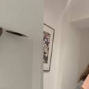 Rodents chew through Claire Johnson's ceiling above her bed during the night.