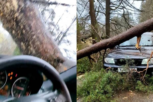 Huge tree trunk crashes down on driver’s windscreen.