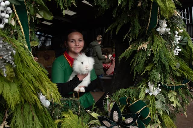 Violet the Elf with a cute fluffy white bunny at Lowlands Farm.
