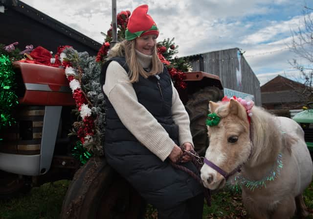 Charlotte Traynor, owner of Lowlands Farm, with a donkey dressed up for Christmas
