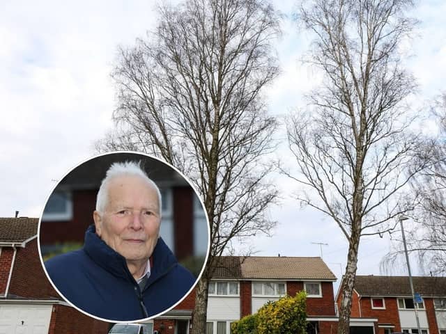 Worcester City Council insists the tree in Columbia Drive poses no immediate risk and has issued a protection order for it. Inset: Chris Davis 