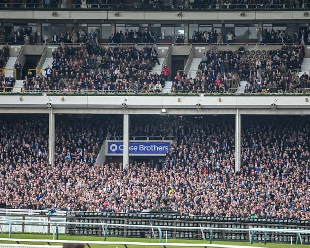 Four racing fans will have the chance to jet off to Benidorm and watch the famous horse racing event