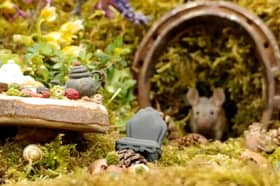 Simon Dell's luxury mouse town.