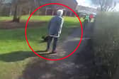 A woman who was walking her dog stepped out in front of the man, allowing officers to apprehend him.