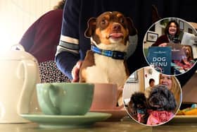 Inside dog-friendly cafe Bijou, where pooches are 'spoilt rotten' with their own tasty menu