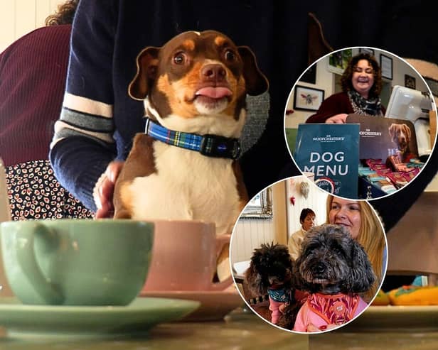 Inside dog-friendly cafe Bijou, where pooches are 'spoilt rotten' with their own tasty menu