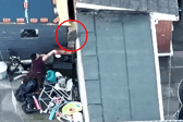 Drug dealer lobs bin bag of heroin over fence during police raid