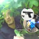 Drug dealer dumps gun and cocaine then asks police “can I call my dad?” during arrest