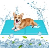 Amazon's cooling mats are an absolute bargain right now