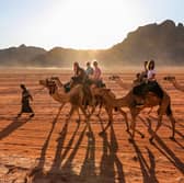 Just £79 could see you soaking up a desert sunset on the back of a camel with this incredible deal
