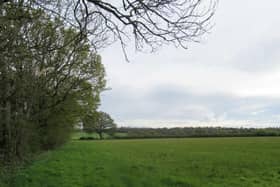 View from Little Misley, one of the fields set to have solar panels. (Credit: Guildford Borough Council planning documents)