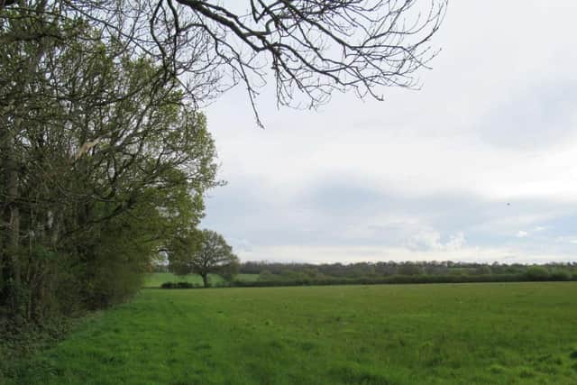 View from Little Misley, one of the fields set to have solar panels. (Credit: Guildford Borough Council planning documents)