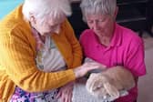 Cynthia with a baby rabbit