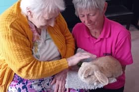 Cynthia with a baby rabbit