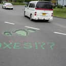 An anonymous resident spray painted potholes last year in an attempt to force the council to fix the roads. Photo: Eddie Mitchell