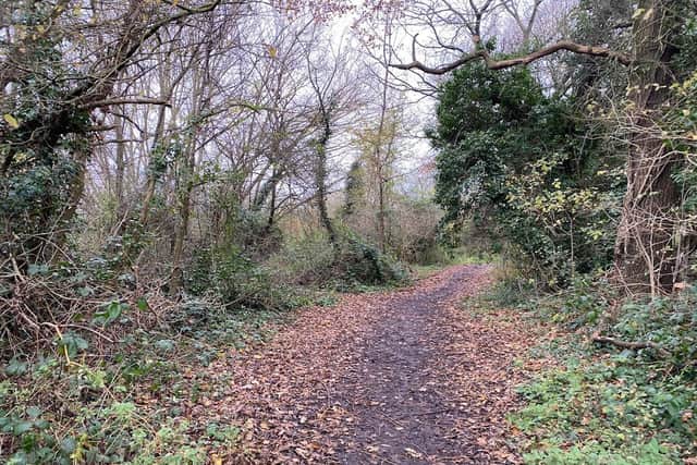 Surrey County Council's recommended safe route to Esher High School