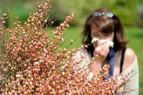 Sussex and Surrey is set to bask in glorious sunshine - but it's bad news for hay fever sufferers. Picture by PHILIPPE HUGUEN/AFP via Getty Images