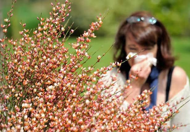 Sussex and Surrey is set to bask in glorious sunshine - but it's bad news for hay fever sufferers. Picture by PHILIPPE HUGUEN/AFP via Getty Images