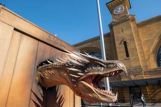 A 25-ft-long animatronic ‘Hungarian Horntail’ dragon surprises locals in [insert city] to mark the launch of the new ‘Triwizard Tournament – Making of Champions’ feature at Warner Bros. Studio Tour London, which celebrates the 20th anniversary of ‘Harry Potter and the Goblet of Fire’. Complete with a moving head, eyes and mouth, the ‘captured’ 1.3 tonne hydraulic dragon model roars and bares its teeth. The 'Triwizard Tournament – Making of Champions’ feature will run from May 15th to 8th September 2025.