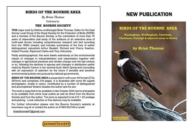 Book flyer.