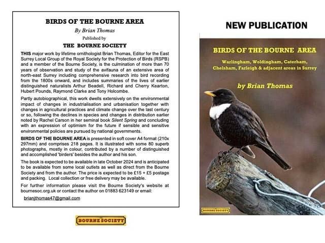 Book flyer.