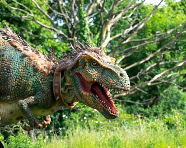 Dinosaurs are coming to Birdworld