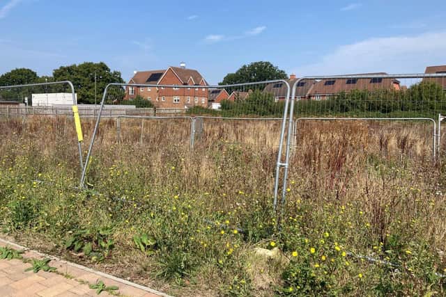 Horley development (image Claire Minter)