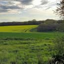 The Country Land and Business Association has launched a campaign to defend family farms and rural businesses in the South East following the Chancellor’s autumn budget. Picture contributed