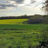 The Country Land and Business Association has launched a campaign to defend family farms and rural businesses in the South East following the Chancellor’s autumn budget. Picture contributed