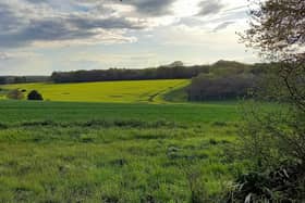The Country Land and Business Association has launched a campaign to defend family farms and rural businesses in the South East following the Chancellor’s autumn budget. Picture contributed